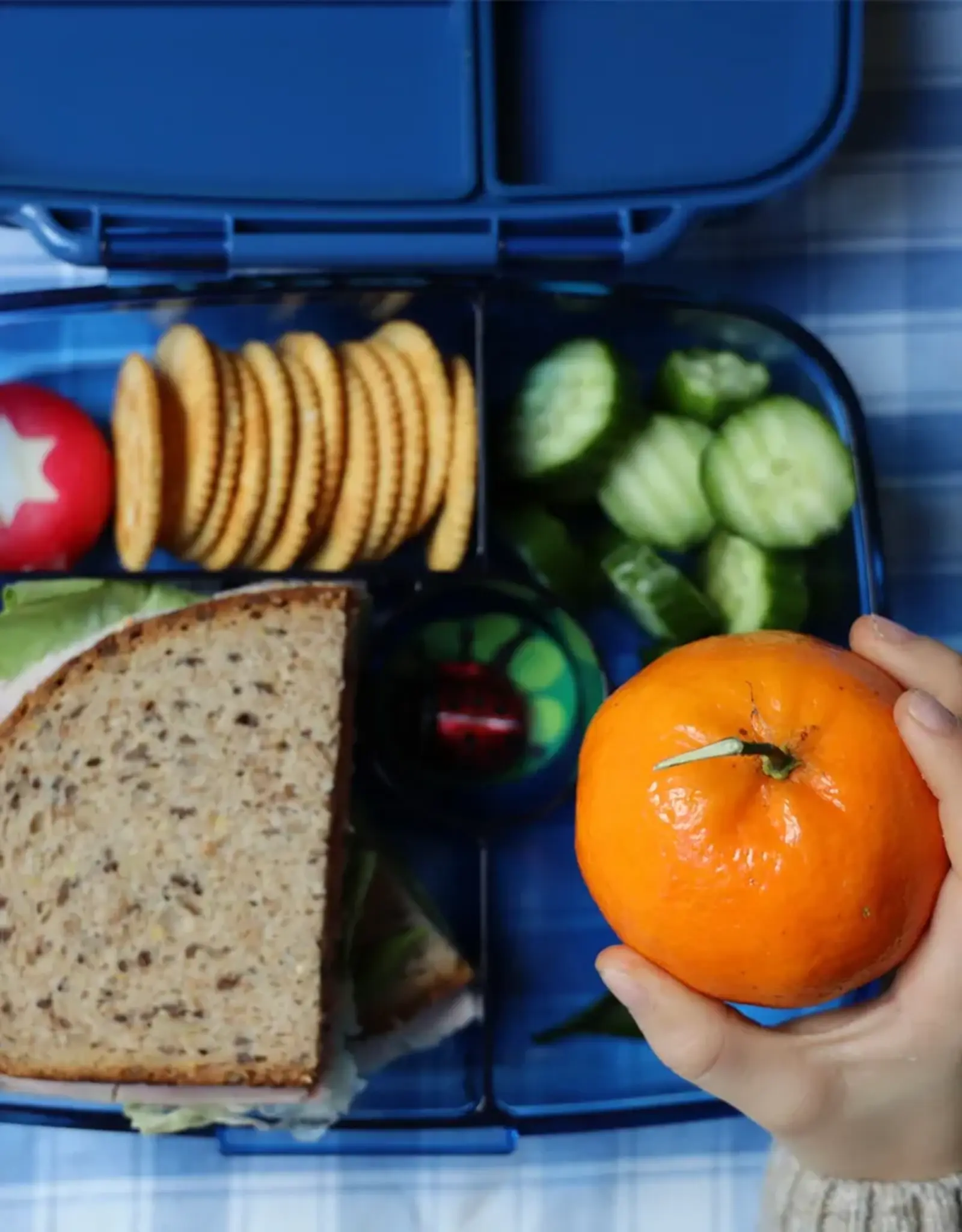 Yumbox Yumbox Go 5-vakken - Oslo Blue