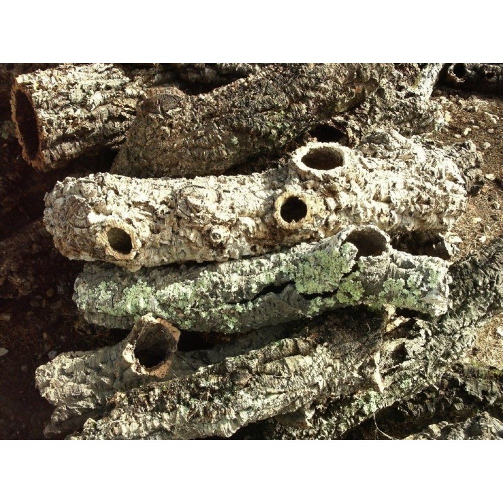 Korkrinde - RUND - PRO KG kaufen - Korkonline.de