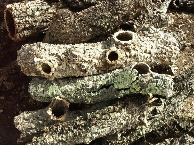 Korkrinde RUND - Korkröhre - PRO KG