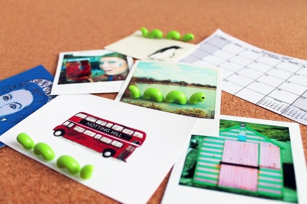 ''Nessie'' Reißnägel - 24 Stück