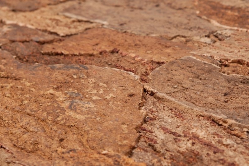 Wandkork platte - Cork Forest Back - 60 x 90 cm