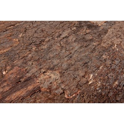 Wandkork platte - Cork Bark - 60 x 90 cm