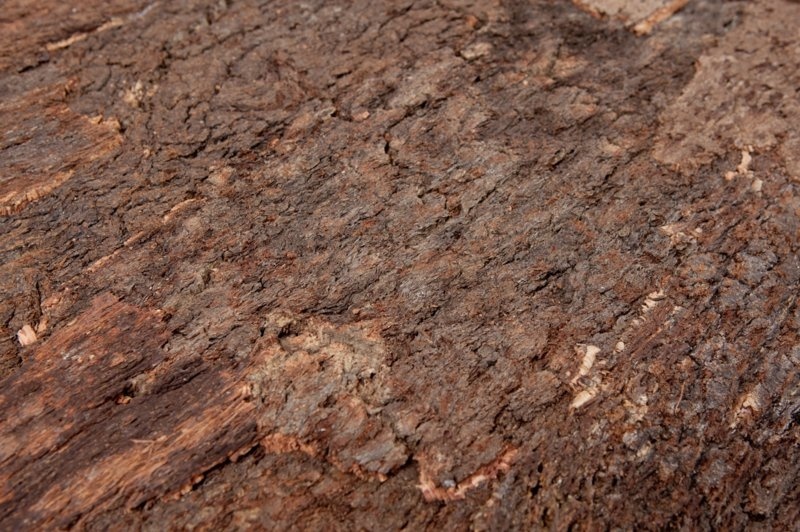 Wandkork platte - Cork Bark - 60 x 90 cm