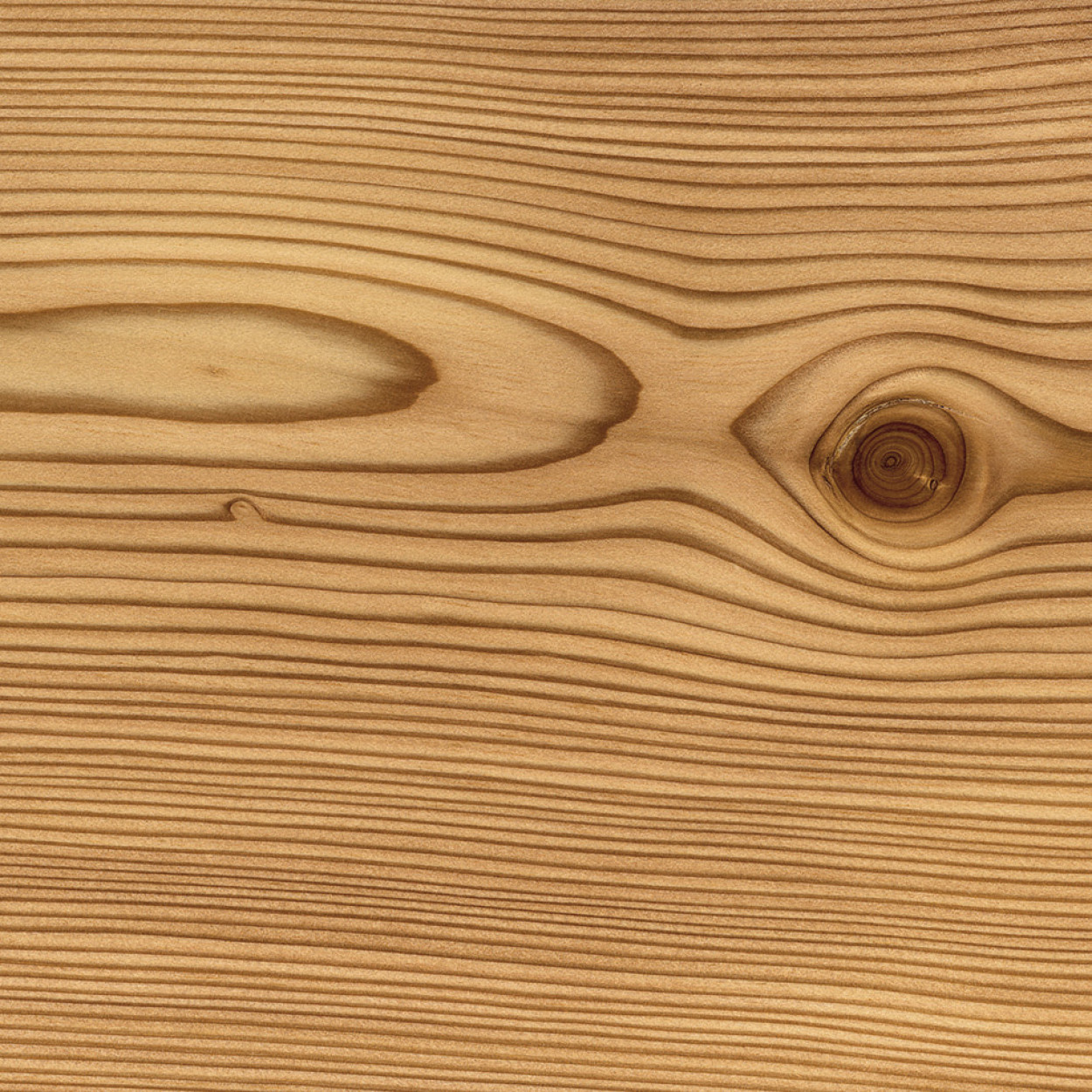 Granorte DESIGNTrend Larch Spice - Pro m²