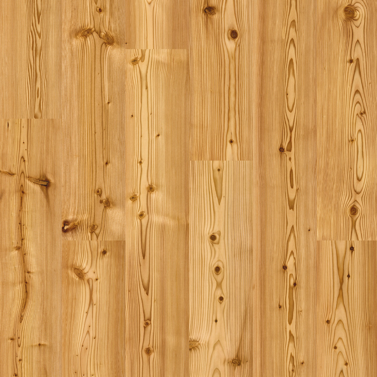 Granorte DESIGNTrend Larch Spice - Pro m²