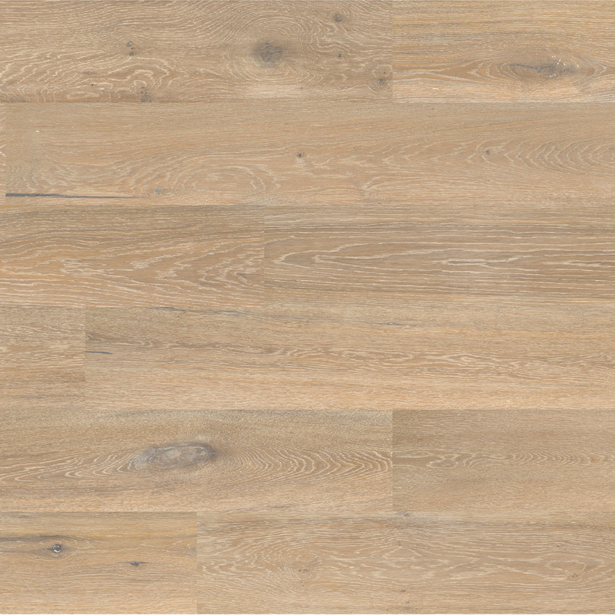 Granorte DESIGNTrend Eiche Vanila - Pro m²