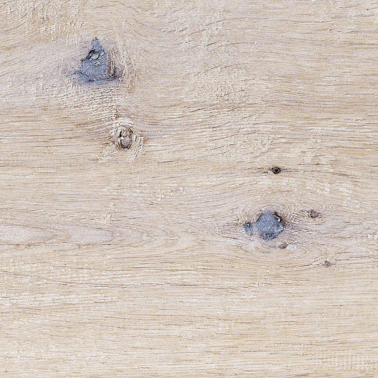 Granorte DESIGNTrend Eiche Pearl - Pro m²