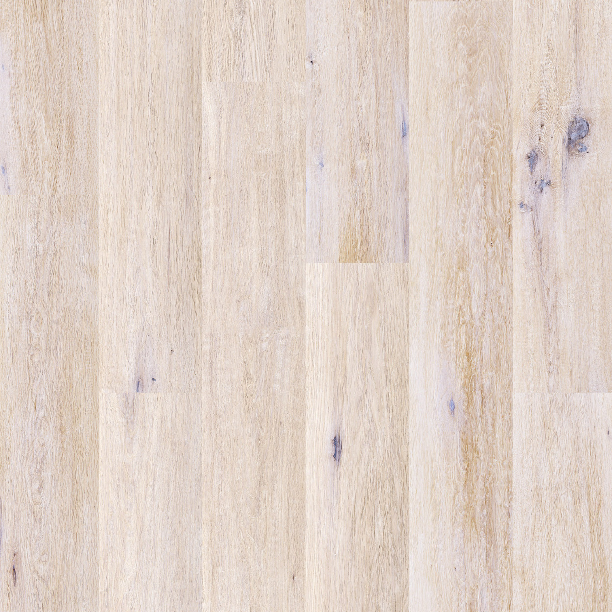 Granorte DESIGNTrend Eiche Pearl - Pro m²