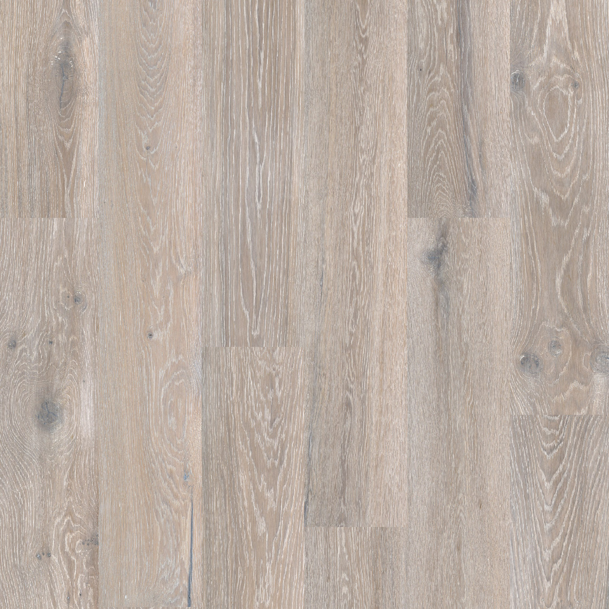 Granorte DESIGNTrend Eiche Oasis - Pro m²