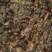 Wandkork platte - Cork Forest - 60 x 90 cm