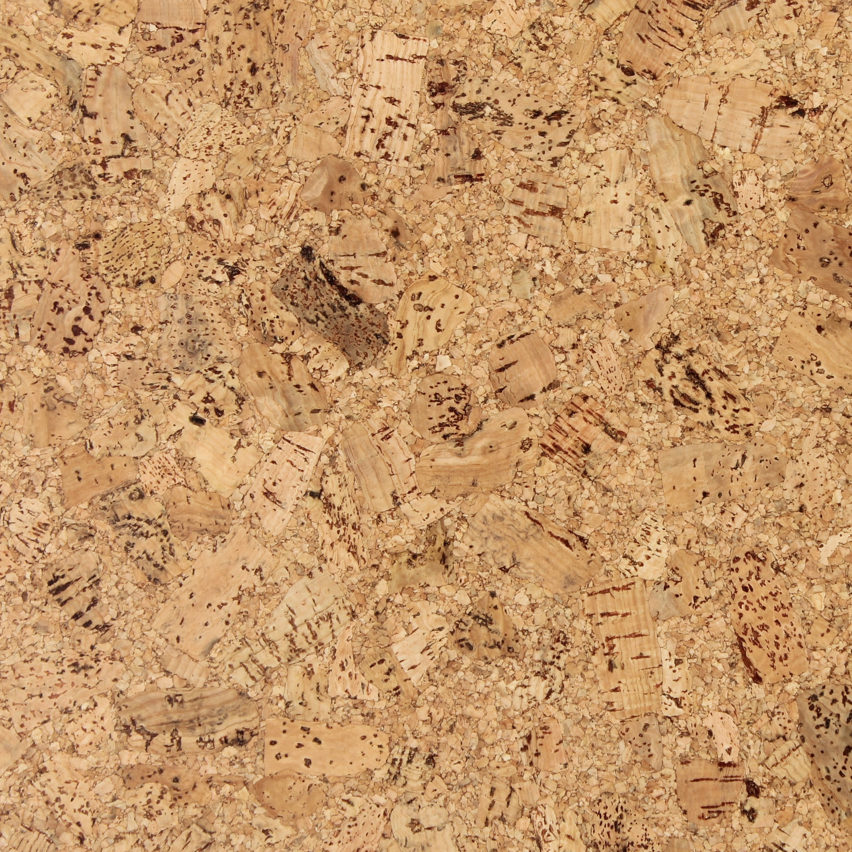 Lackierter korkboden - klebekork - Champagner- Pro m²