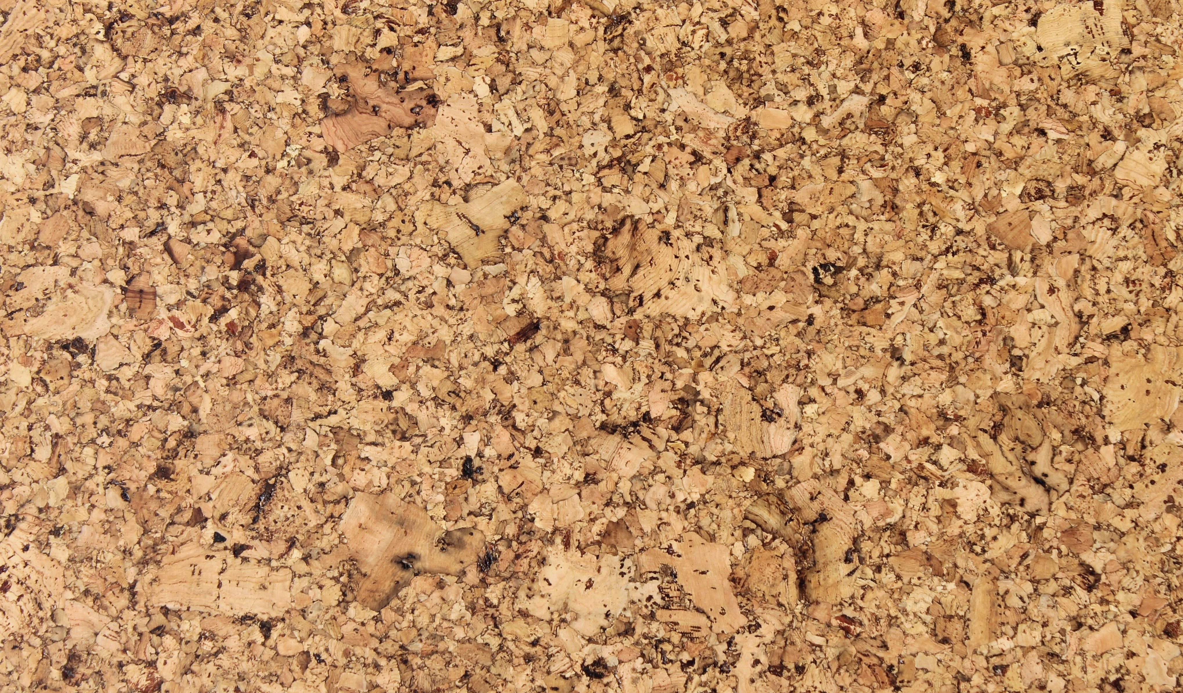 Klebekork '' Forest '' 60x30cm. 4mm stärke lackiert - Pro m²