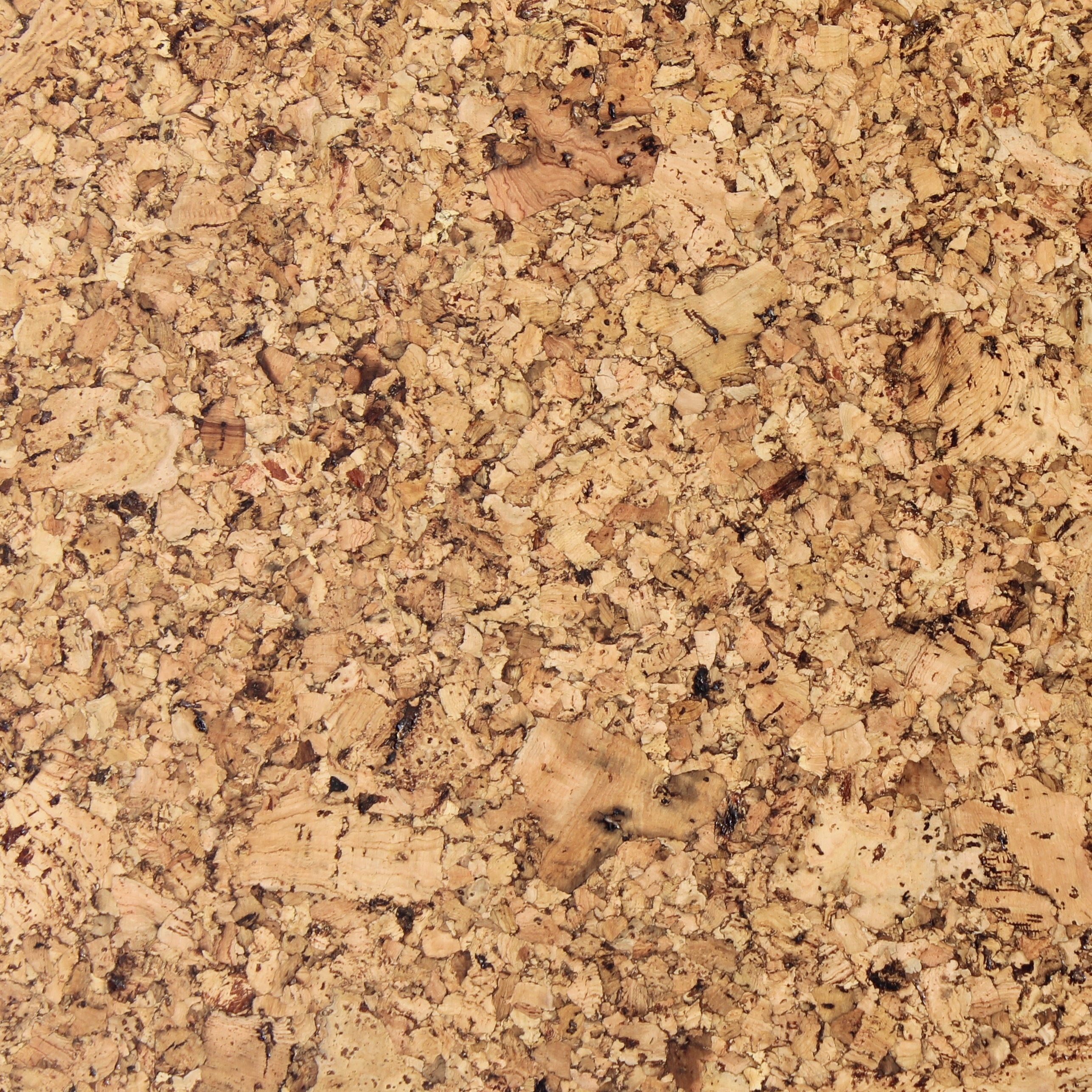 Klebekork '' Forest '' 60x30cm. 4mm stärke lackiert - Pro m²