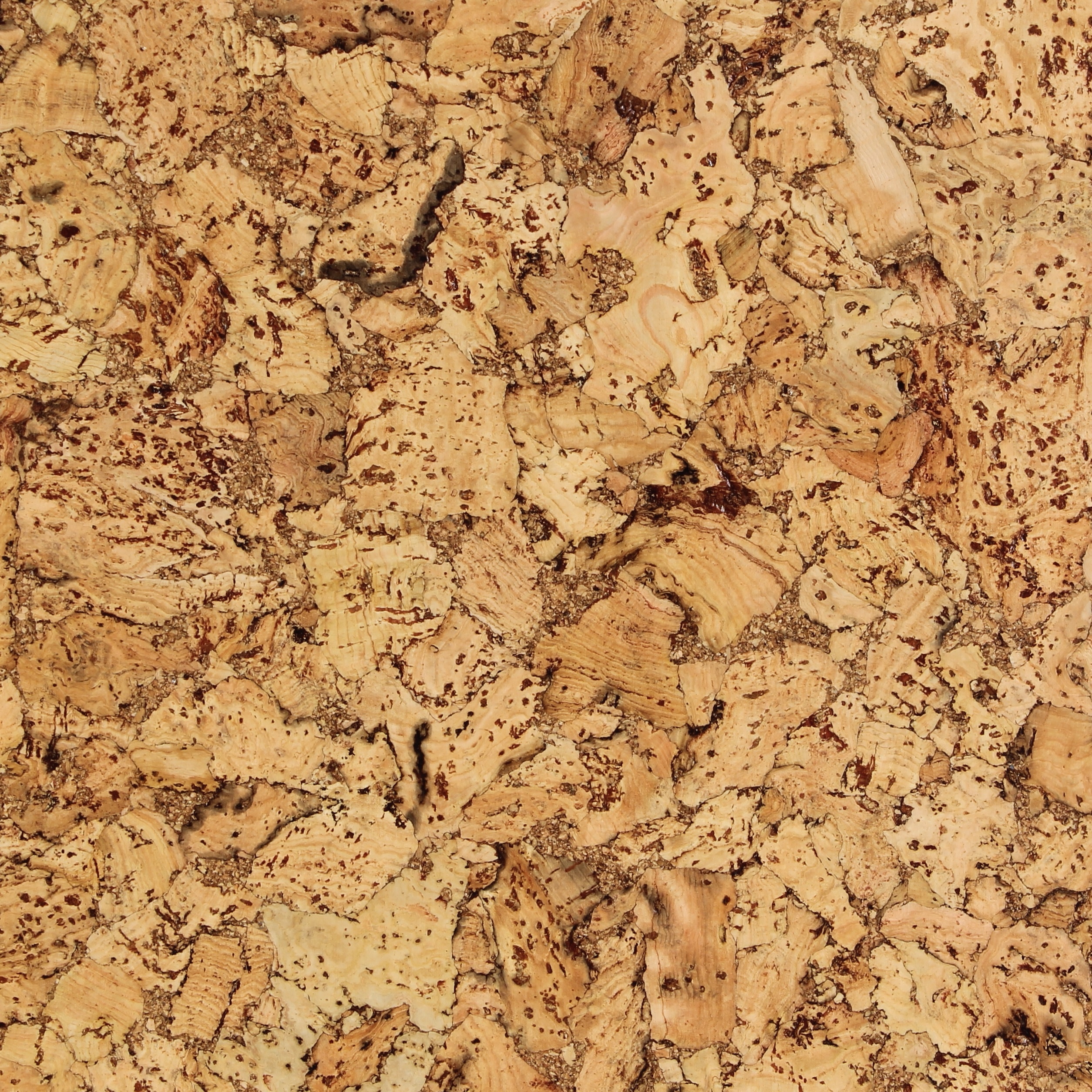 Lackierter korkboden - klebekork - Castello - Pro m²