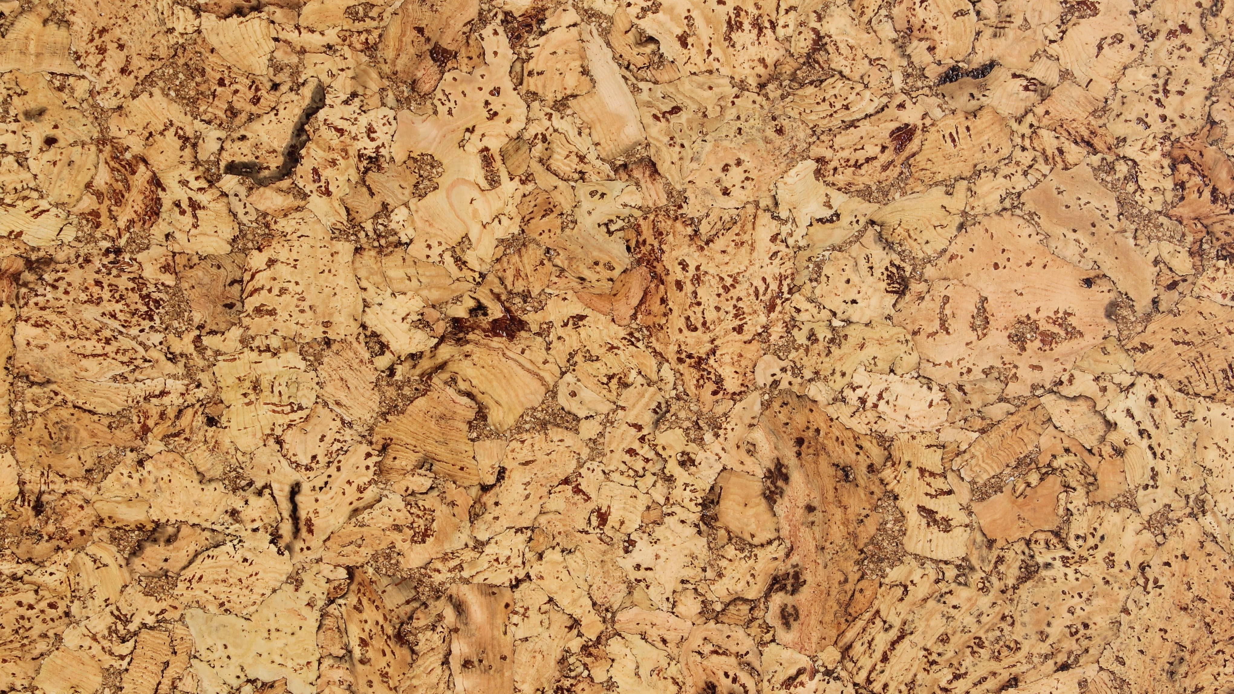 Lackierter korkboden - klebekork - Castello - Pro m²