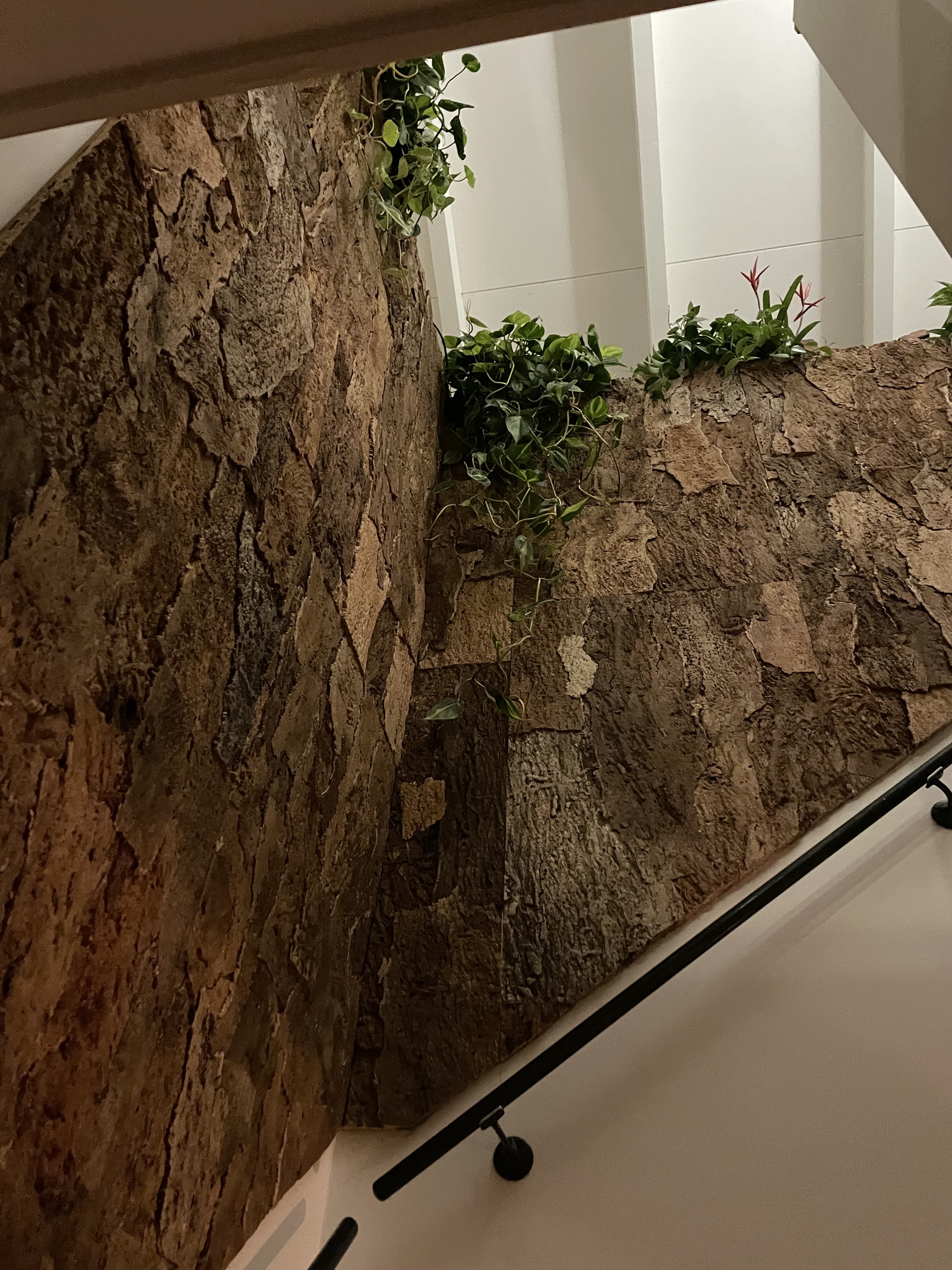 Wandkork platte - Cork Bark - 60 x 90 cm