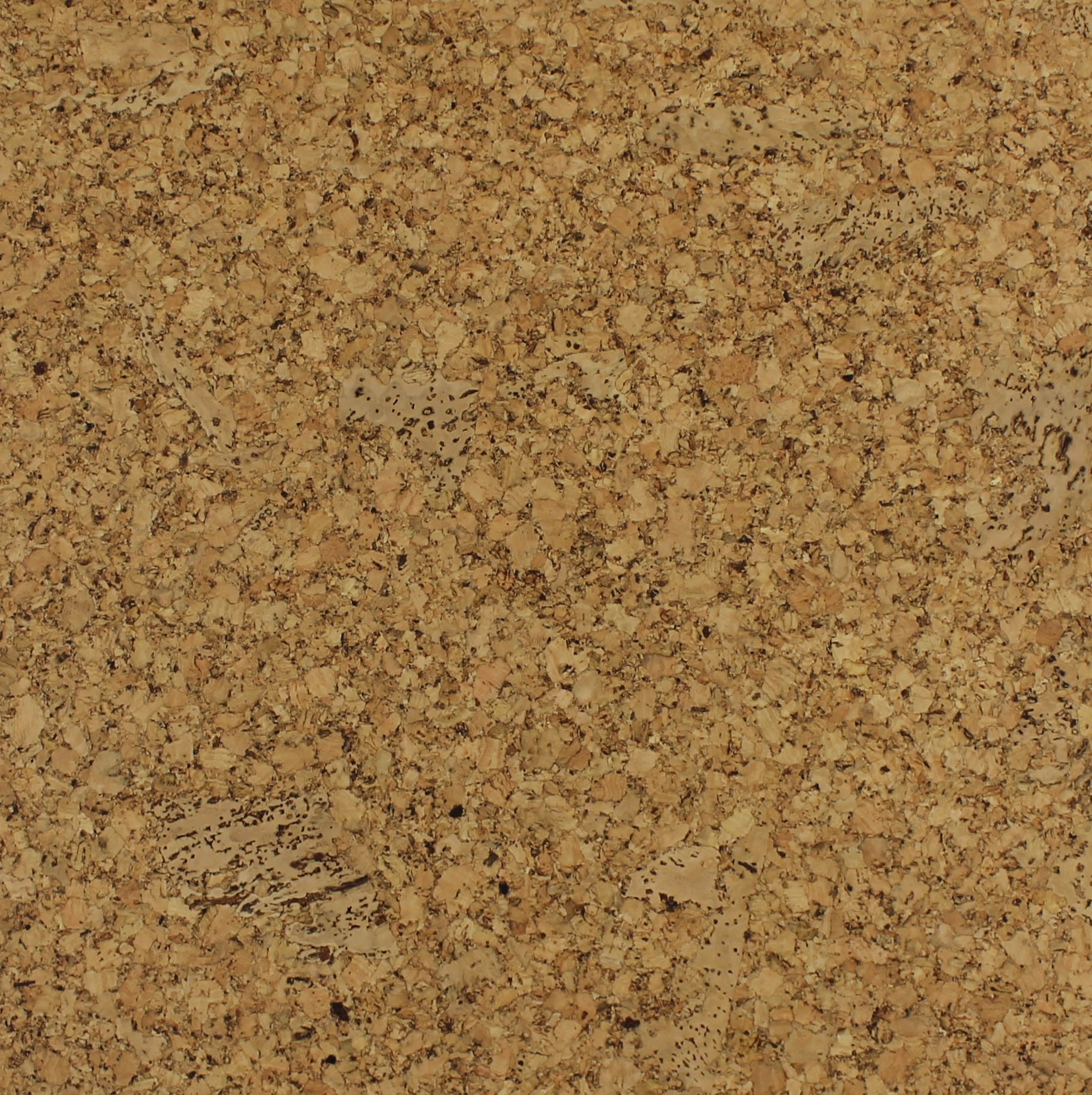 Lackierter Klebekork boden - Light - 60x30 - Pro m²