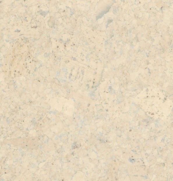 Lackierter Korkboden - Kleberkork – Champagner White – 60 x 30 cm – Nachhaltig & Stilvoll pro m²