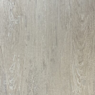 Amorim Klick Korkboden ''Ivory Salt Oak'' - pro m2 - AKTION