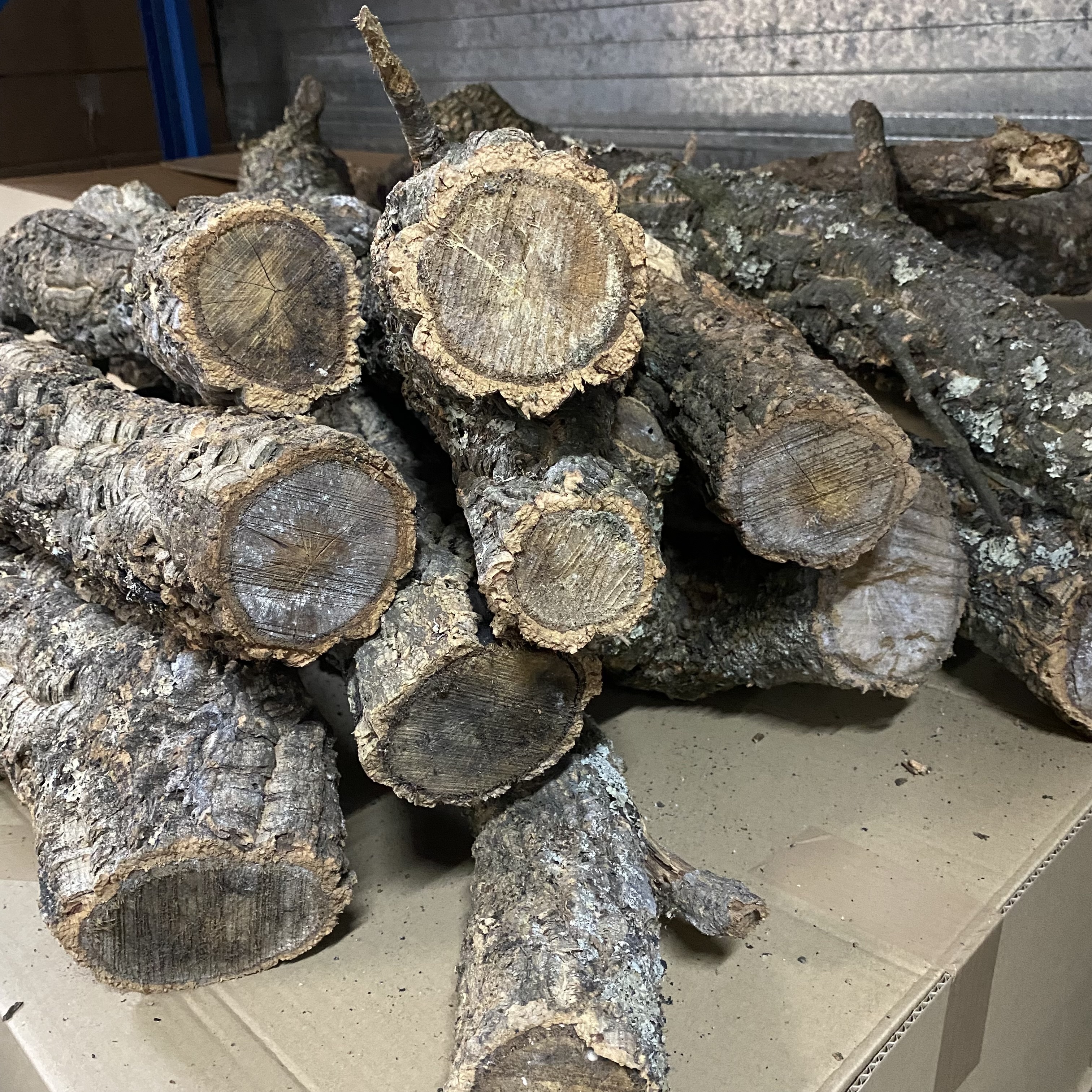 Korkaste - Korkzweige -Baumstamme - pro kg.