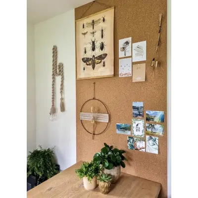 Korkplatte FEIN 90 x 60 cm – 6 mm Stärke | Für Pinnwand, Möbel & DIY