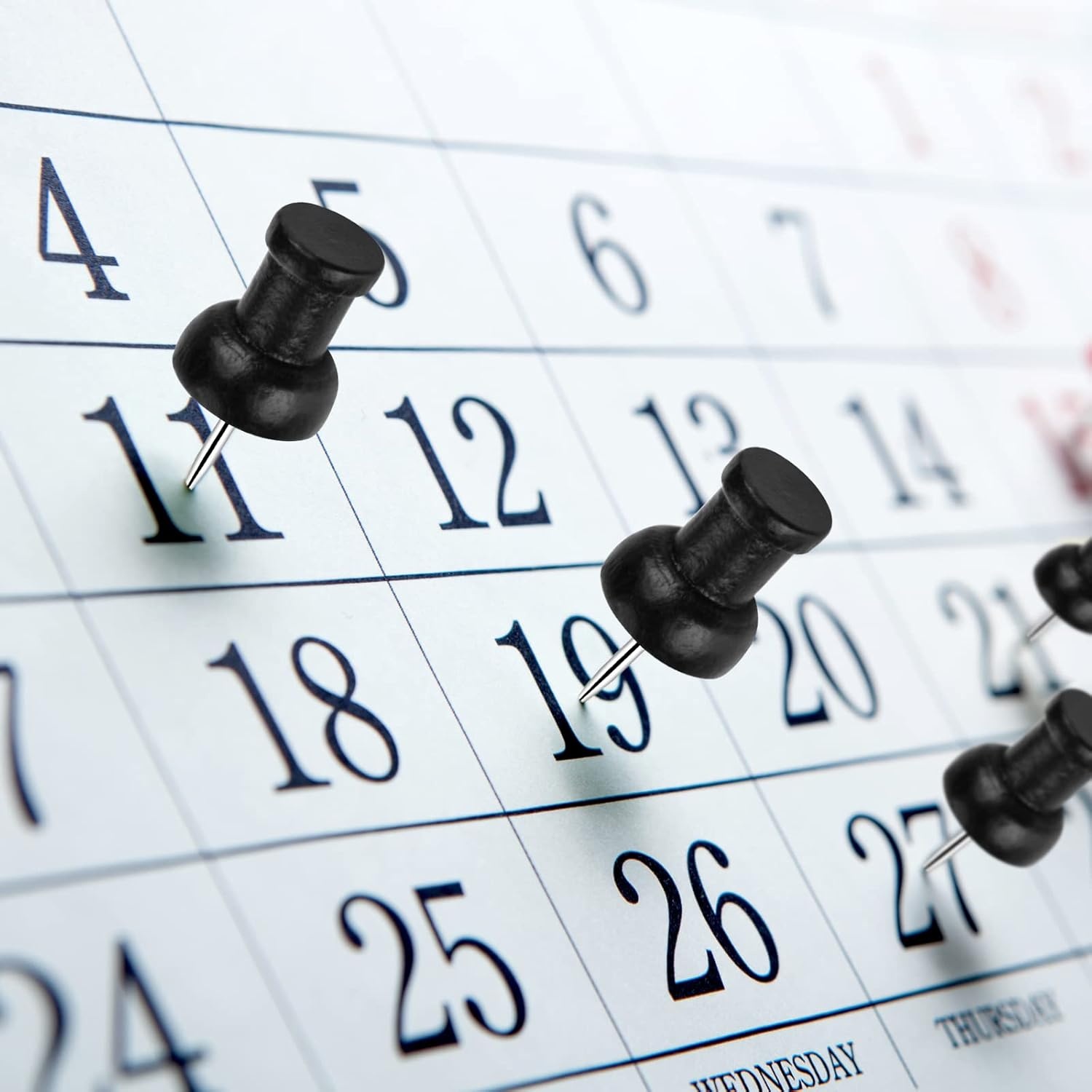 Reißzwecke Holz - 40 Stück - Natur - Schwarz