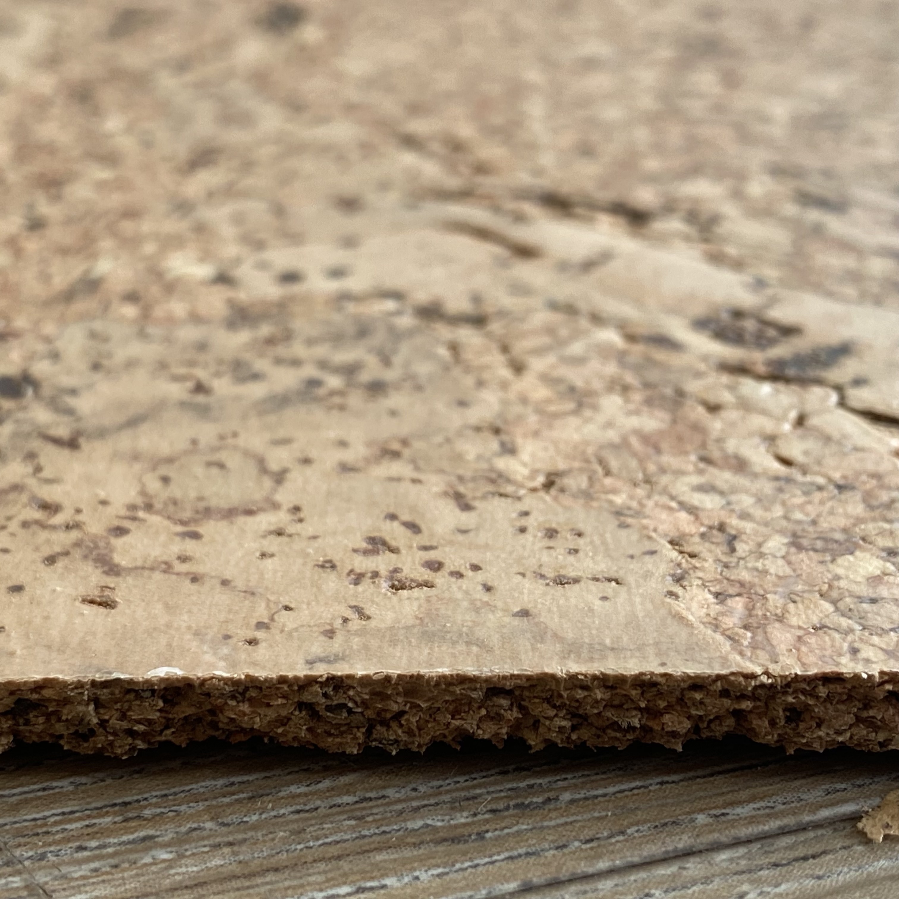 Lackierter korkboden - klebekork - Orione - Pro m²