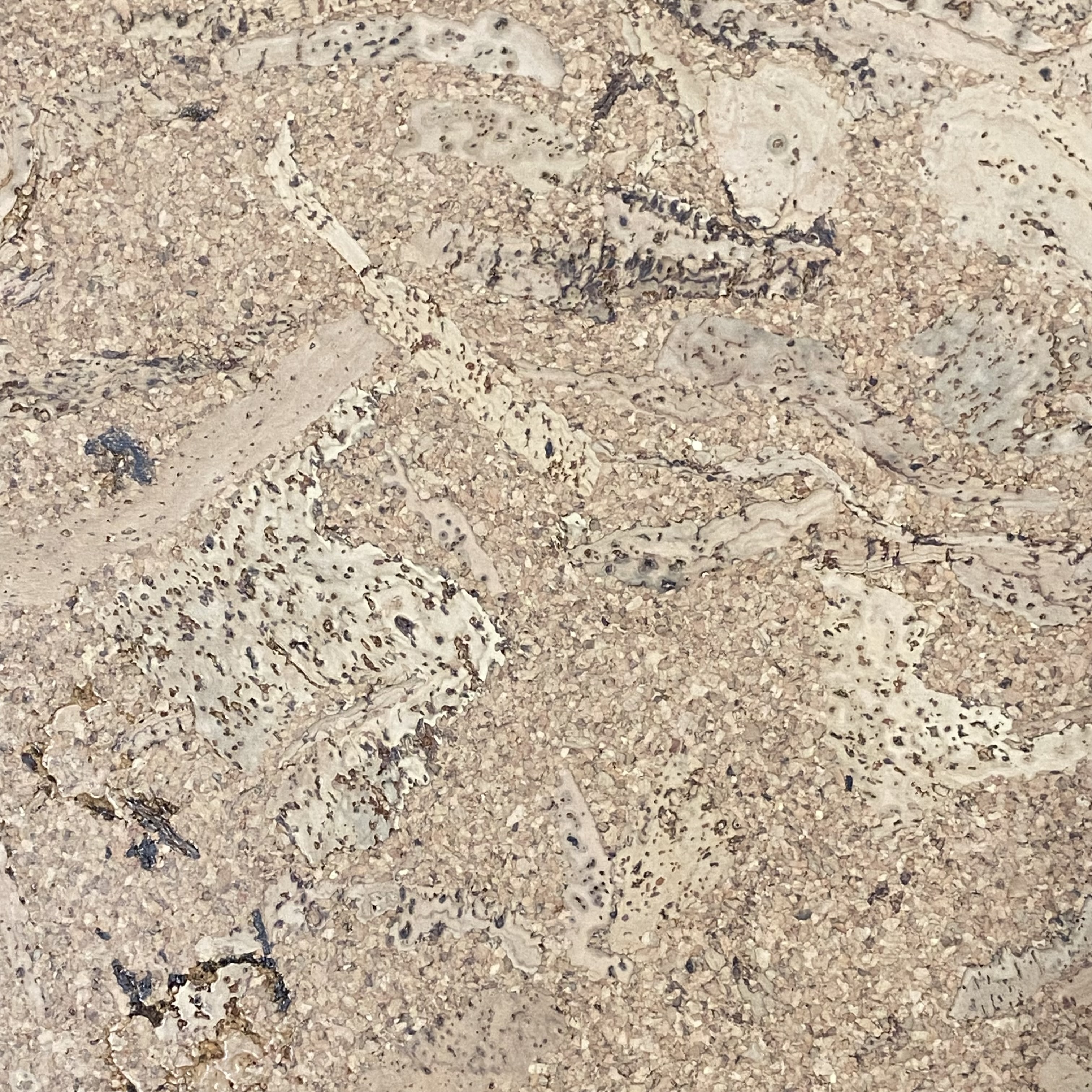 Lackierter korkboden - klebekork - Orione - Pro m²