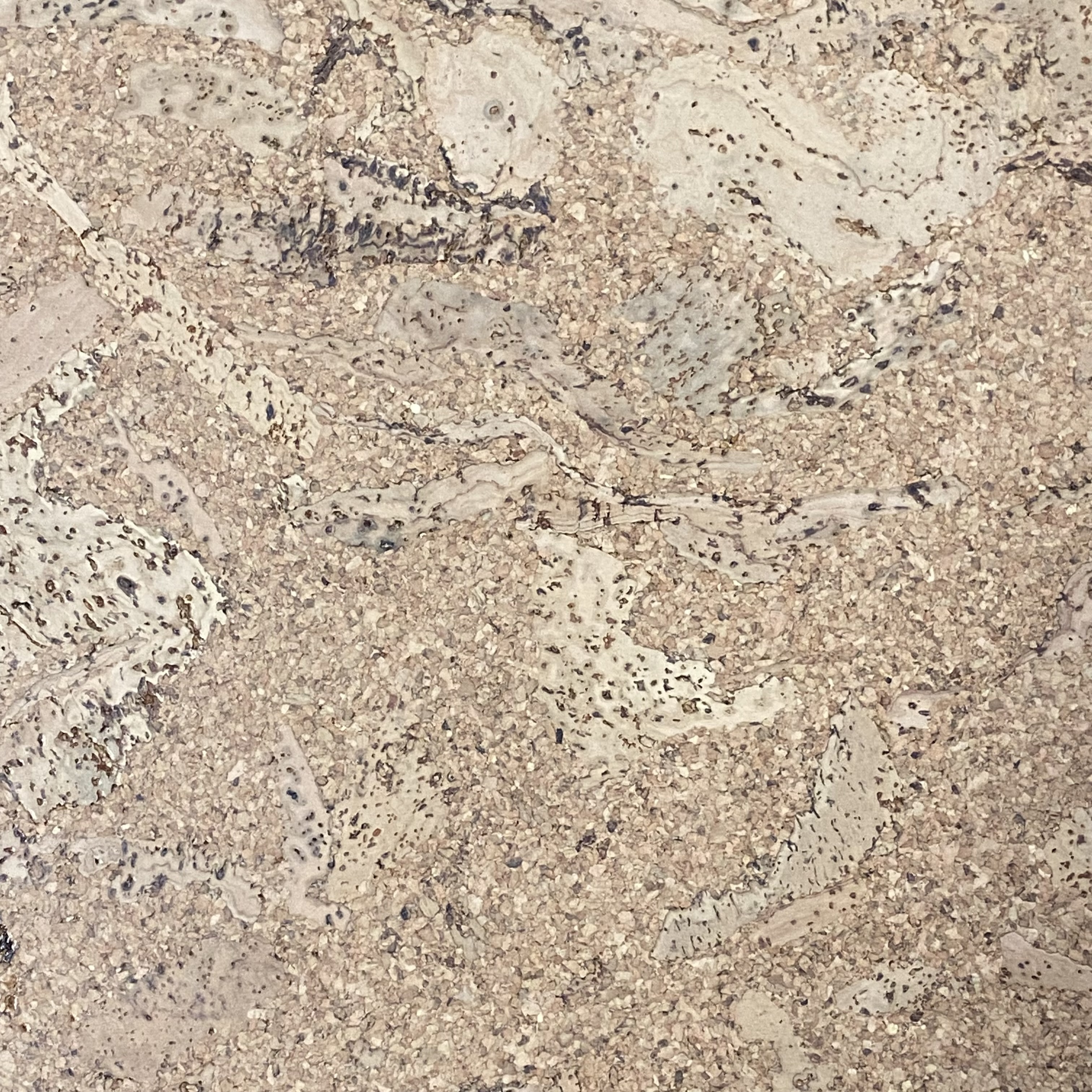 Lackierter korkboden - klebekork - Orione - Pro m²