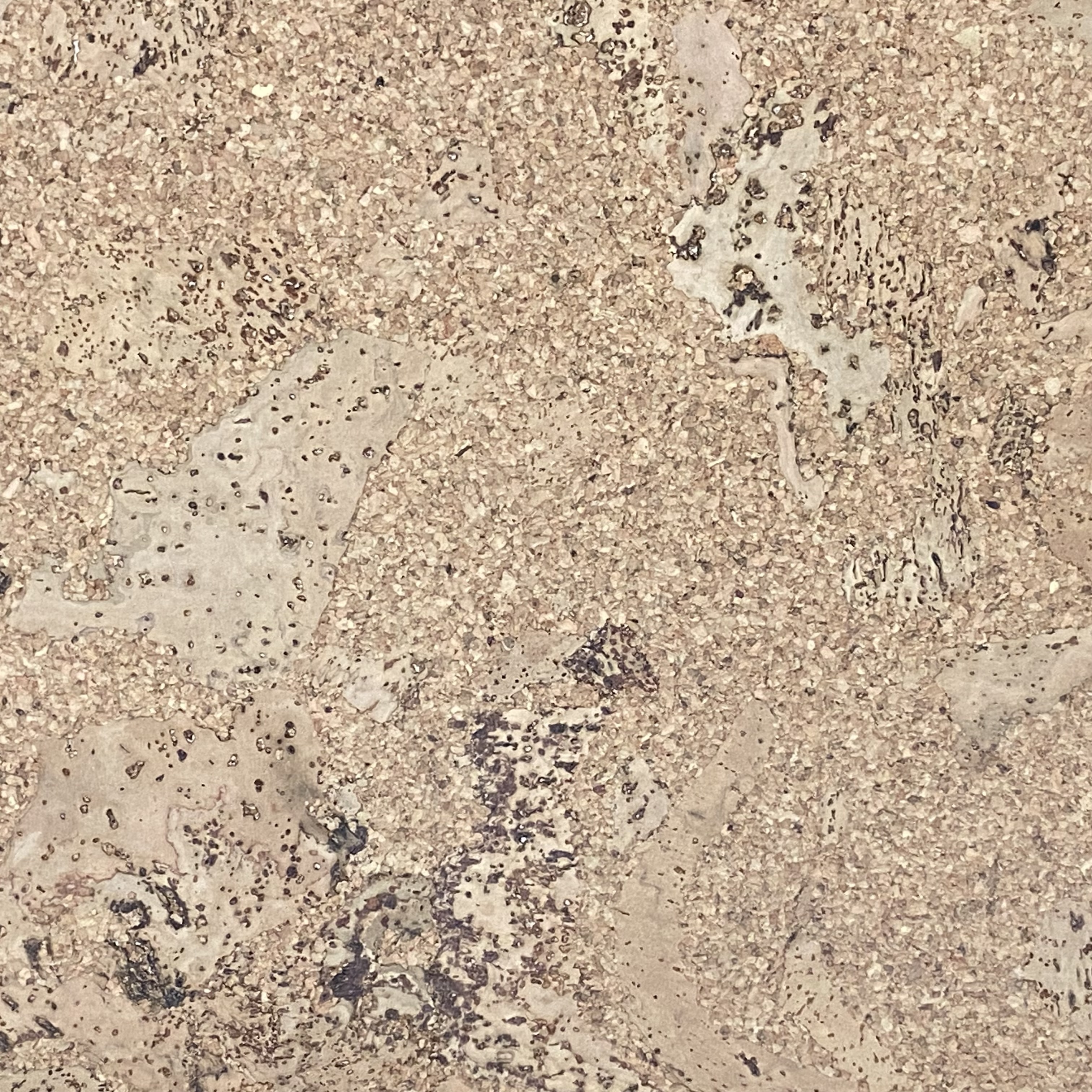 Lackierter korkboden - klebekork - Orione - Pro m²