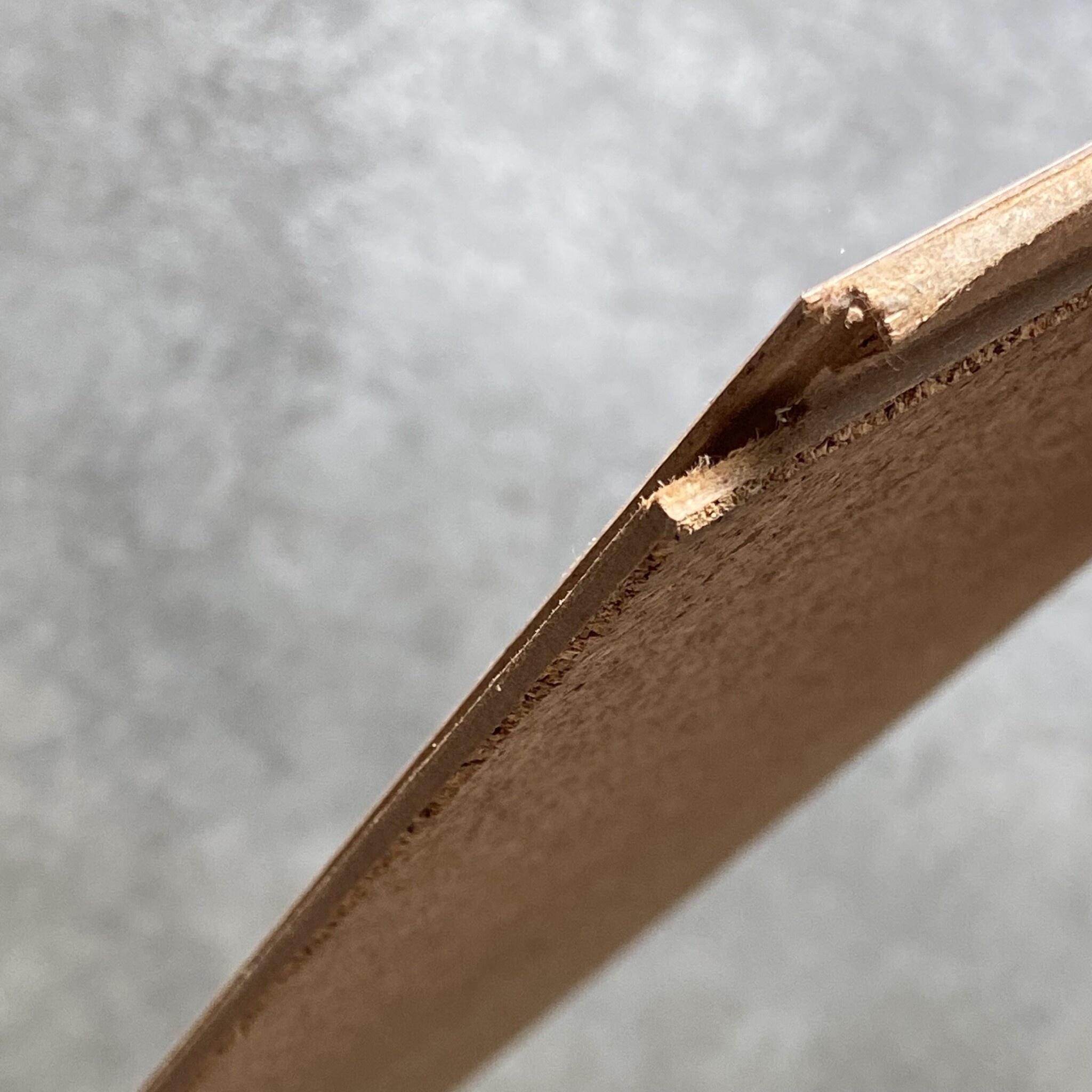 Amorim Klickboden Eco Decor – Rain Forest Oak – pro m²