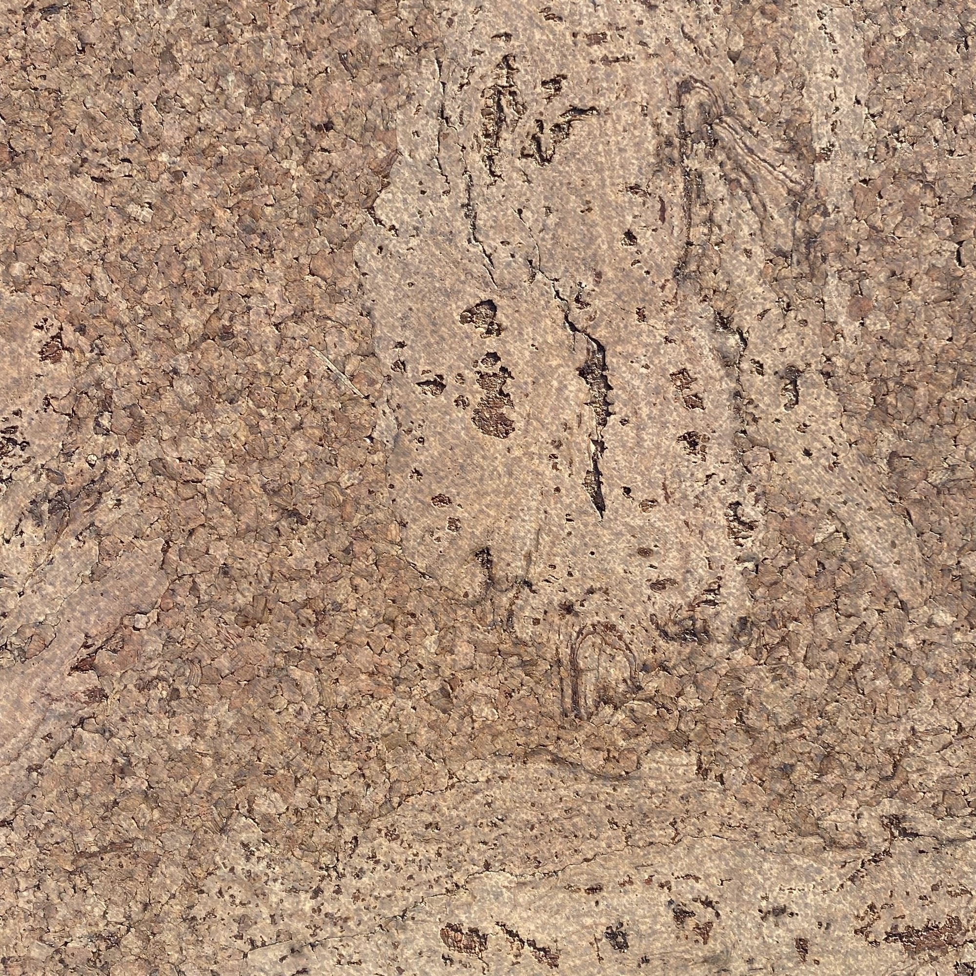 Amorim Klebekorkboden Accent Tea – 60 x 30 cm – 4 mm – pro m² – AKTION