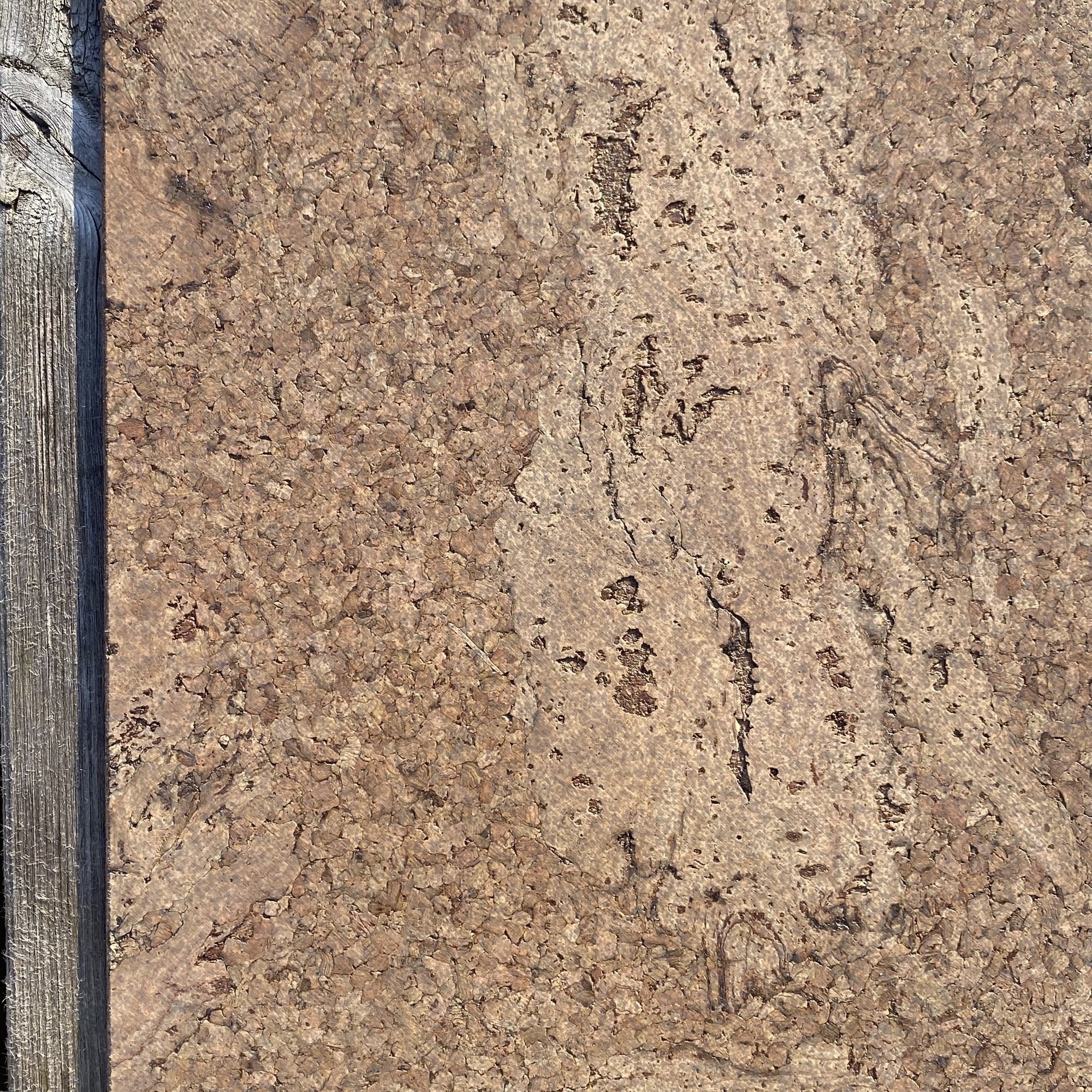 Amorim Klebekorkboden Accent Tea – 60 x 30 cm – 4 mm – pro m² – AKTION