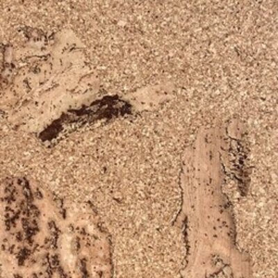 Unlackierter Kork-Klebeboden – Gallura – 60 x 30 cm – pro m²