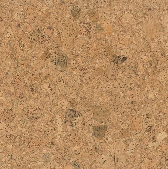 Wandkork - Champagner - 60 x 30 cm - 3mm Stärke - pro m2