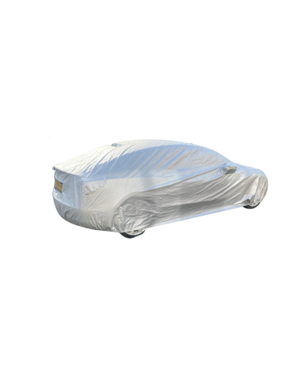 Tesla Model 3 Autohoes