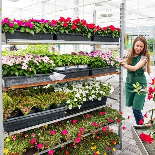 Wózek duński CC - wózek na rośliny 1350x565x1900mm