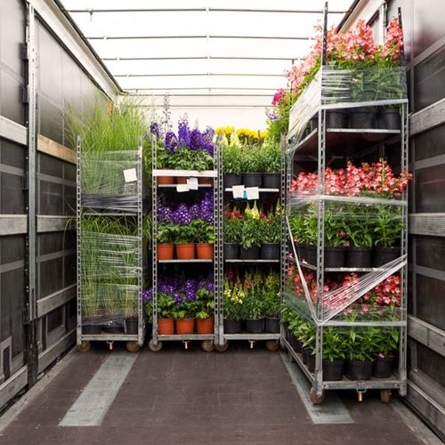 Wózek duński na rośliny 715x565x1900 mm