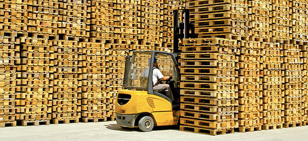 Palety drewniane na placu magazynowym wraz z pracownikiem