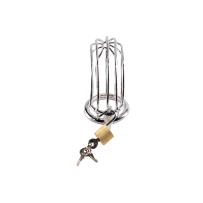 RVS Peniskooi met Lamellen en Slot