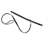 Klassiek Verstelbare Leren Halsband met Aanlijnriem ZADO Klassiek Verstelbare Leren Halsband met Aanlijnriem