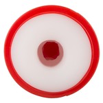 Pussy to Go Masturbator Classic Red You2Toys Pussy to Go Masturbator Classic Red