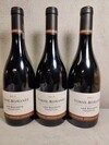 Arnoux Lachaux Vosne Romanee Les Suchots 2013