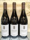 Domaine Laurent Pommard Les Rugiens Bas 2021