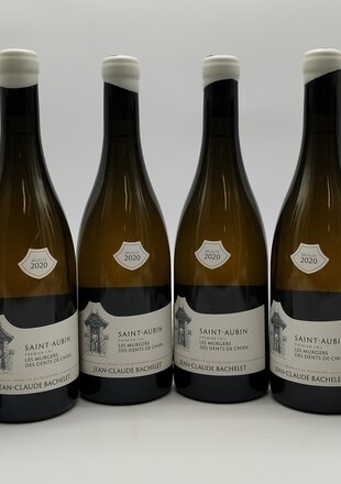 Jean-Claude Bachelet Saint Aubin Les Murgers Dents de Chien 2020