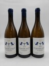 Y Clerget Bourgogne Aligote En Coulezain 2023