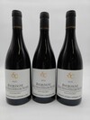 Sylvain Cathiard Hautes Cotes de Nuits Aux Chaumes 2021
