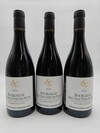 Sylvain Cathiard Hautes Cotes de Nuits Les Dames Huguettes 2021