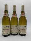 Dauvissat Chablis Forest 2020