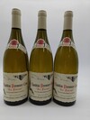 Dauvissat Chablis Forest 2021
